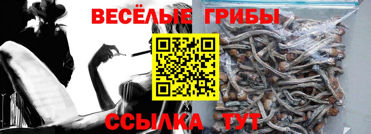 Изобильный  Галлюциногенные грибы мицелий  Вход с VPN 